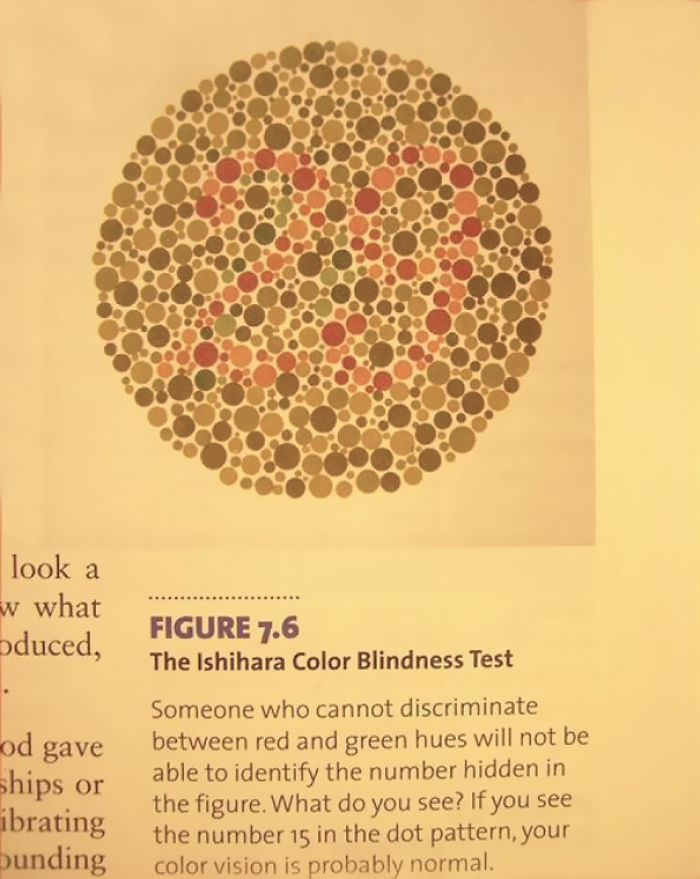 50 Of The Most Hilarious Things Ever Found In Textbooks 50 Of The Most Hilarious Things Ever Found In Textbooks