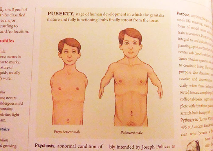 50 Of The Most Hilarious Things Ever Found In Textbooks 50 Of The Most Hilarious Things Ever Found In Textbooks