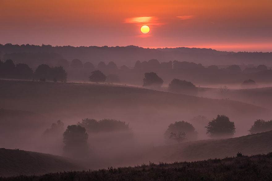 Why You Should Visit My Homeland The Netherlands In August – A Purple Dream Why You Should Visit My Homeland The Netherlands In August – A Purple Dream