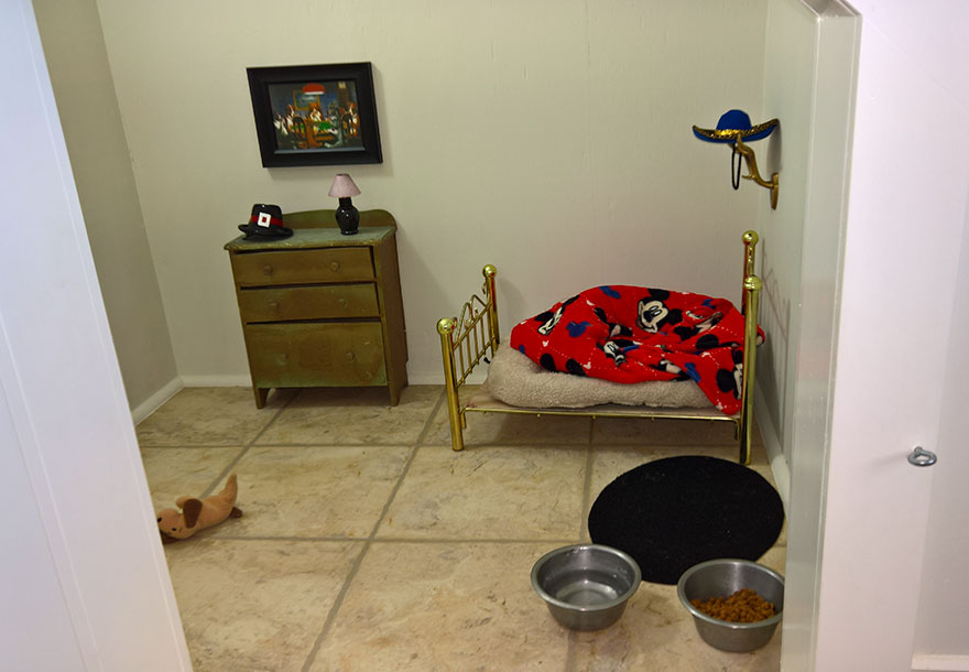 This Woman Built Her Dog A Bedroom Under The Stairs And The Details Are Impressive This Woman Built Her Dog A Bedroom Under The Stairs And The Details Are Impressive