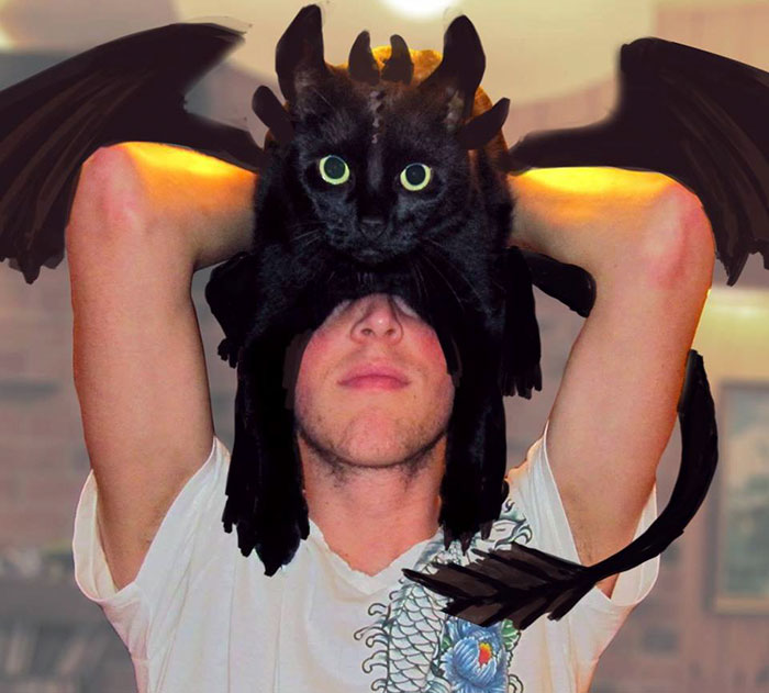 37 Black Cats That Are Actually Toothless In Disguise