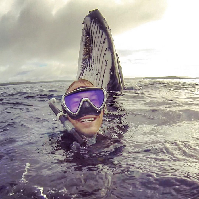 Guy Gets Photobombed By Whale