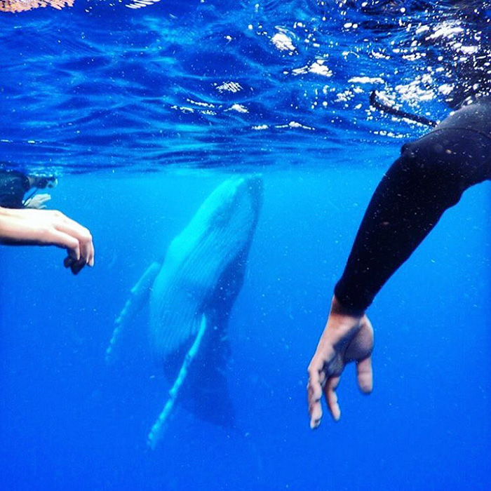 Guy Gets Photobombed By Whale