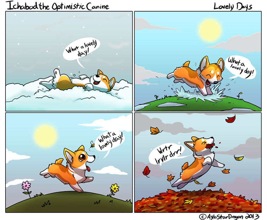 Meet Ichabod, The Most Optimistic Canine That Will Instantly Make You Smile Meet Ichabod, The Most Optimistic Canine That Will Instantly Make You Smile