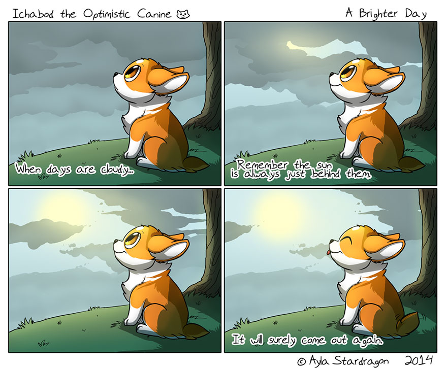 Meet Ichabod, The Most Optimistic Canine That Will Instantly Make You Smile Meet Ichabod, The Most Optimistic Canine That Will Instantly Make You Smile