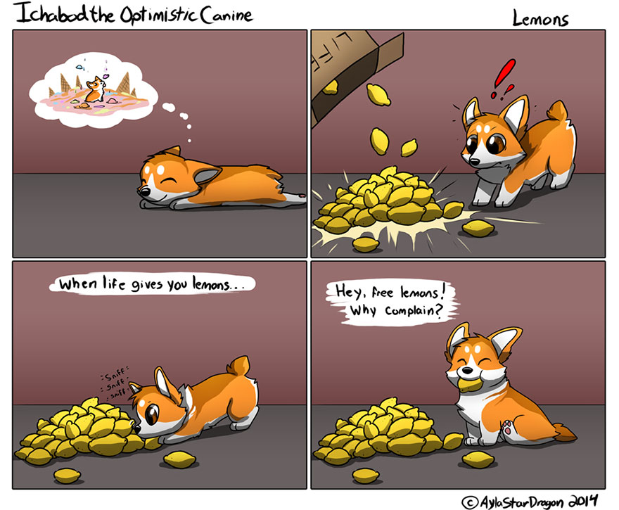 Meet Ichabod, The Most Optimistic Canine That Will Instantly Make You Smile Meet Ichabod, The Most Optimistic Canine That Will Instantly Make You Smile