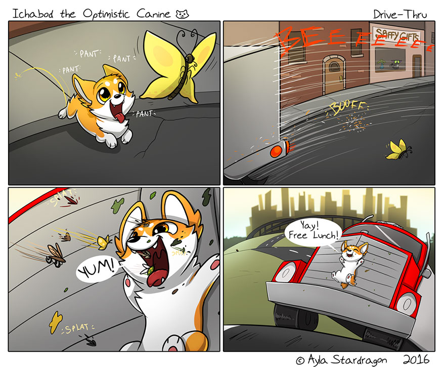 Meet Ichabod, The Most Optimistic Canine That Will Instantly Make You Smile Meet Ichabod, The Most Optimistic Canine That Will Instantly Make You Smile