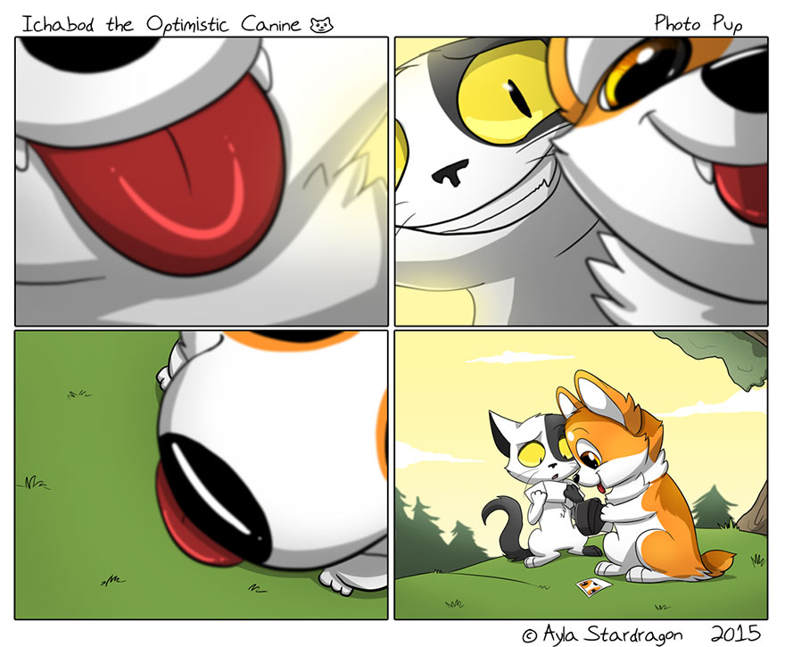 Meet Ichabod, The Most Optimistic Canine That Will Instantly Make You Smile Meet Ichabod, The Most Optimistic Canine That Will Instantly Make You Smile