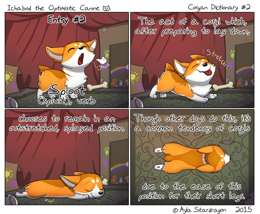 Meet Ichabod, The Most Optimistic Canine That Will Instantly Make You Smile Meet Ichabod, The Most Optimistic Canine That Will Instantly Make You Smile