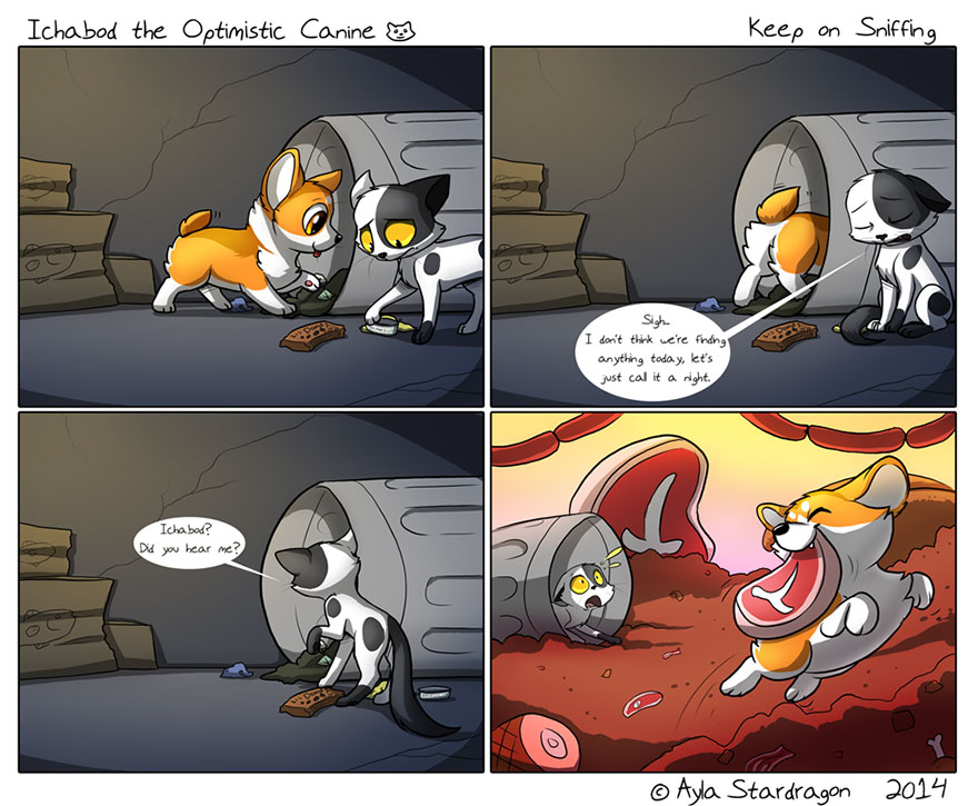 Meet Ichabod, The Most Optimistic Canine That Will Instantly Make You Smile Meet Ichabod, The Most Optimistic Canine That Will Instantly Make You Smile