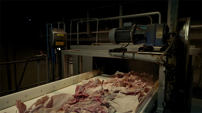 After Seeing How Gummies Are Made, You’ll Probably Never Eat Them Again After Seeing How Gummies Are Made, You’ll Probably Never Eat Them Again