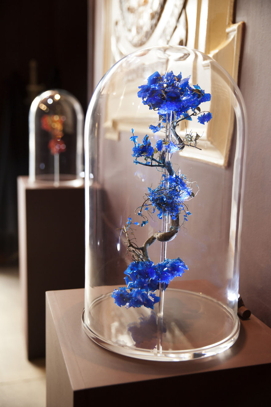 Encrusting Flora With Stabilised Crystals