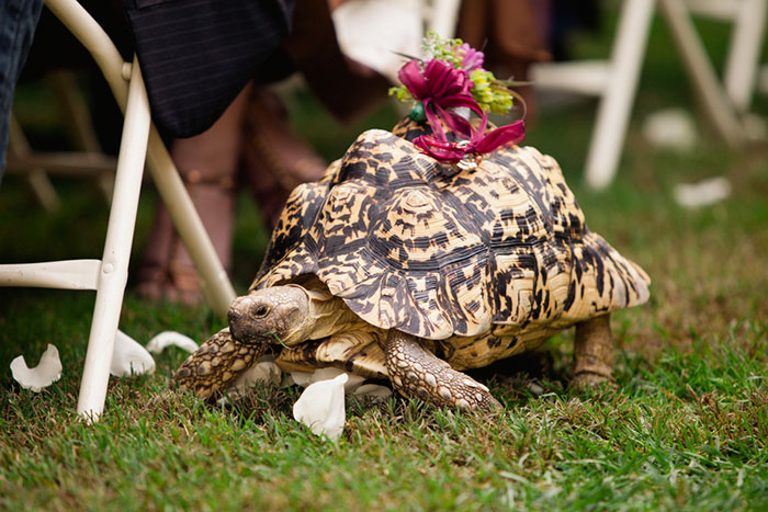 24 Flowers Girls And Ring Bearers Who Stole The Spotlight From The Bride & Groom 24 Flowers Girls And Ring Bearers Who Stole The Spotlight From The Bride & Groom