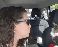 Cat Rescued Hours Before Death Row, Can’t Stop Thanking His Rescuer On Their Way Home