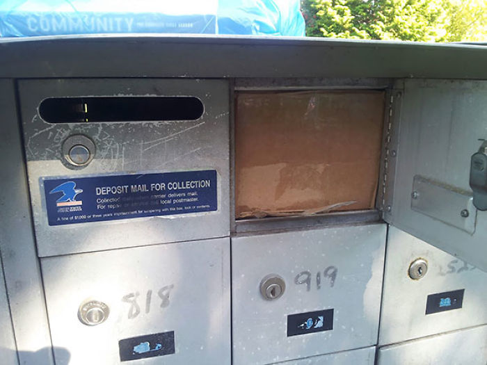 39 Times Delivery Guys Made You Wish You’d Picked Your Package Yourself 39 Times Delivery Guys Made You Wish You’d Picked Your Package Yourself