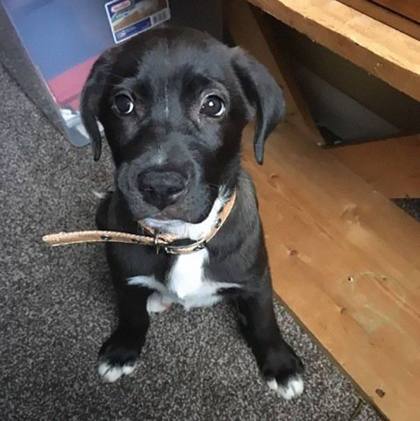 Woman Sees A Moving Garbage Bag On The Road, Stops Her Car To Save It Woman Sees A Moving Garbage Bag On The Road, Stops Her Car To Save It