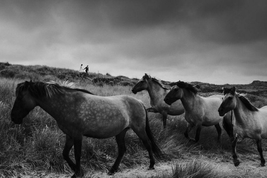 Top 50 Wedding Destinations Of 2016 Top 50 Wedding Destinations Of 2016