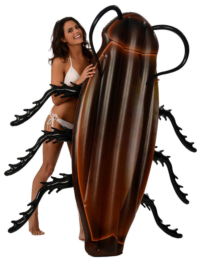 Terrifying Cockroach Inflatable To Make Swimming In The Pool Fun Again Terrifying Cockroach Inflatable To Make Swimming In The Pool Fun Again