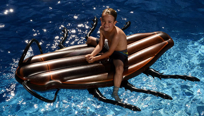 Terrifying Cockroach Inflatable To Make Swimming In The Pool Fun Again Terrifying Cockroach Inflatable To Make Swimming In The Pool Fun Again