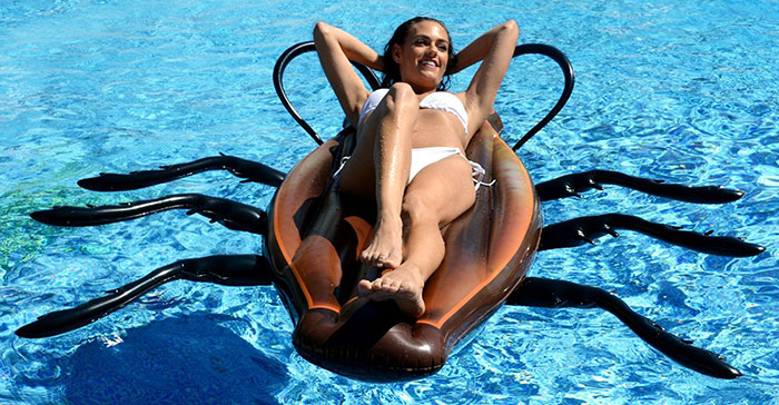 Terrifying Cockroach Inflatable To Make Swimming In The Pool Fun Again Terrifying Cockroach Inflatable To Make Swimming In The Pool Fun Again