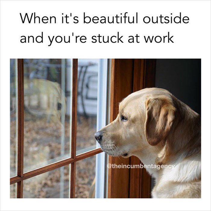 What’s It Like To Work At Ad Agency Hilariously Explained With Stock Photos What’s It Like To Work At Ad Agency Hilariously Explained With Stock Photos