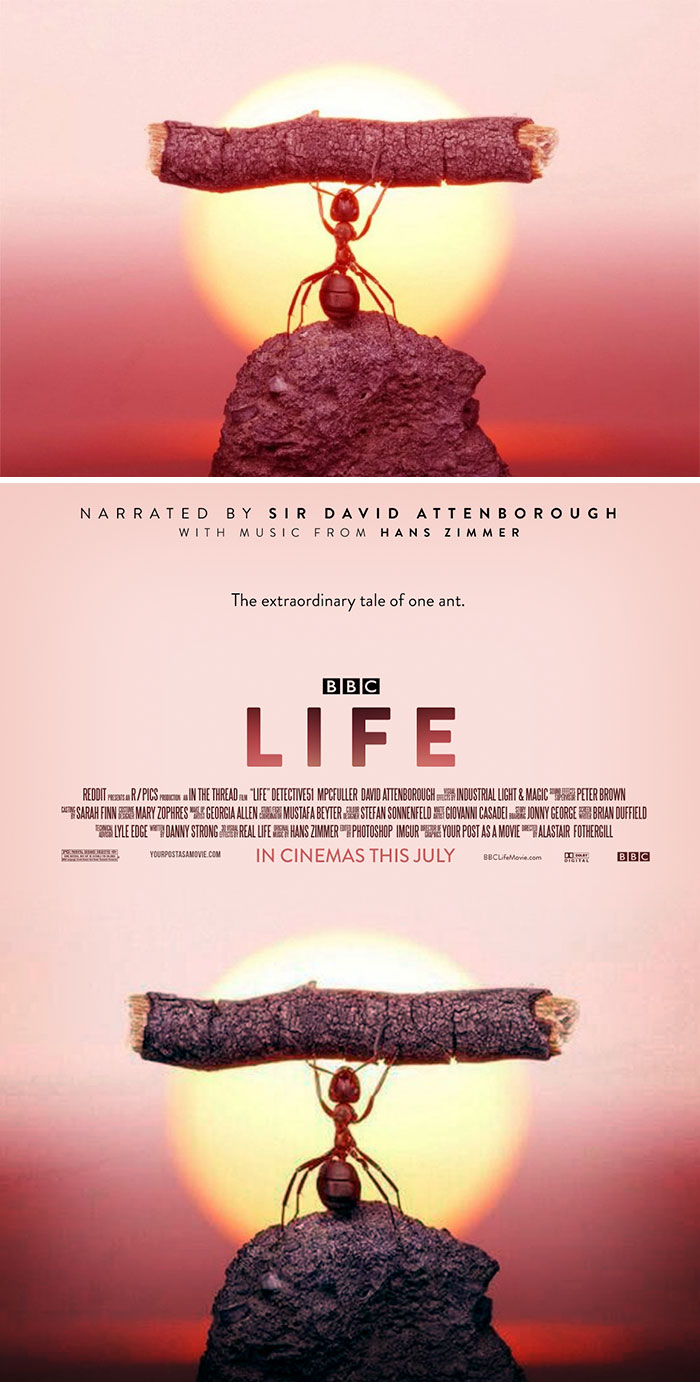 This Guy Is Turning Random People’s Photos Into Movie Posters (62 New Pics)