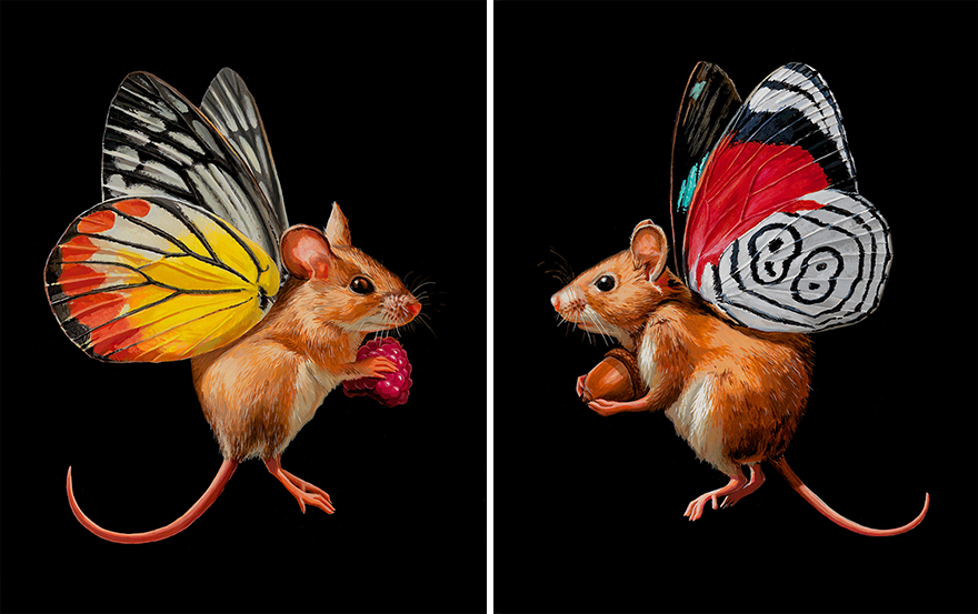 I Painted A New Species I Wish Existed &#8211; Meet The Mouserflies