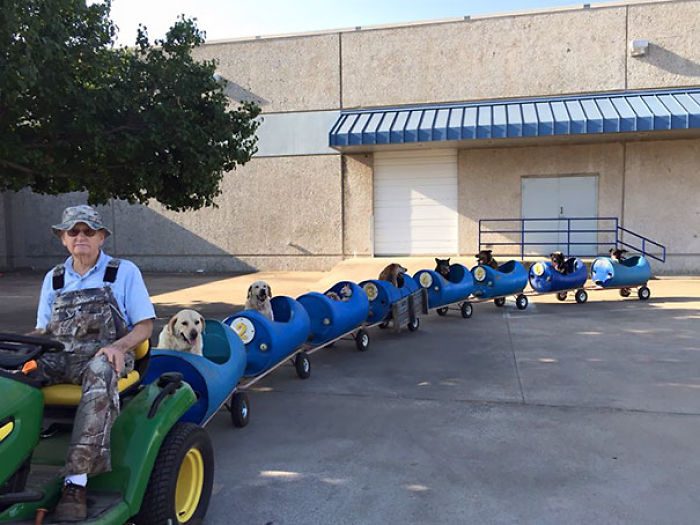 47 Creative Dog Owners Who Did Pawesome Things For Their Dogs 47 Creative Dog Owners Who Did Pawesome Things For Their Dogs