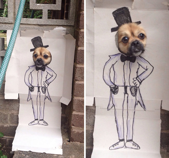 47 Creative Dog Owners Who Did Pawesome Things For Their Dogs 47 Creative Dog Owners Who Did Pawesome Things For Their Dogs