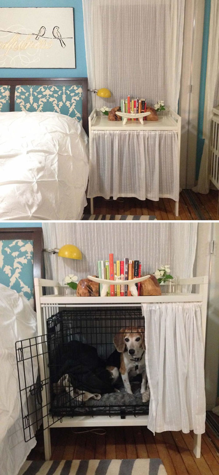 47 Creative Dog Owners Who Did Pawesome Things For Their Dogs 47 Creative Dog Owners Who Did Pawesome Things For Their Dogs
