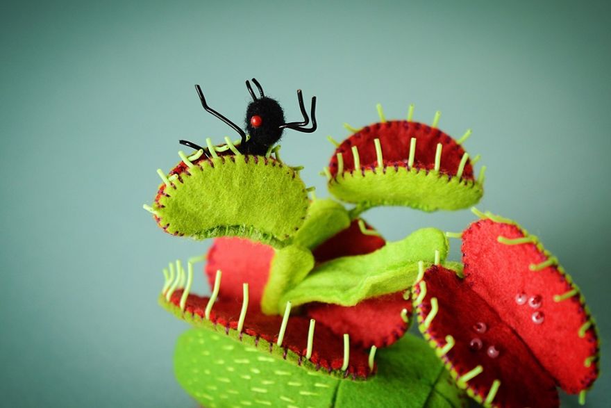 My Flora Insecta Series For Flora At Land Exhibition My Flora Insecta Series For Flora At Land Exhibition