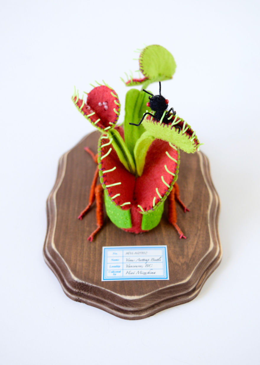 My Flora Insecta Series For Flora At Land Exhibition My Flora Insecta Series For Flora At Land Exhibition