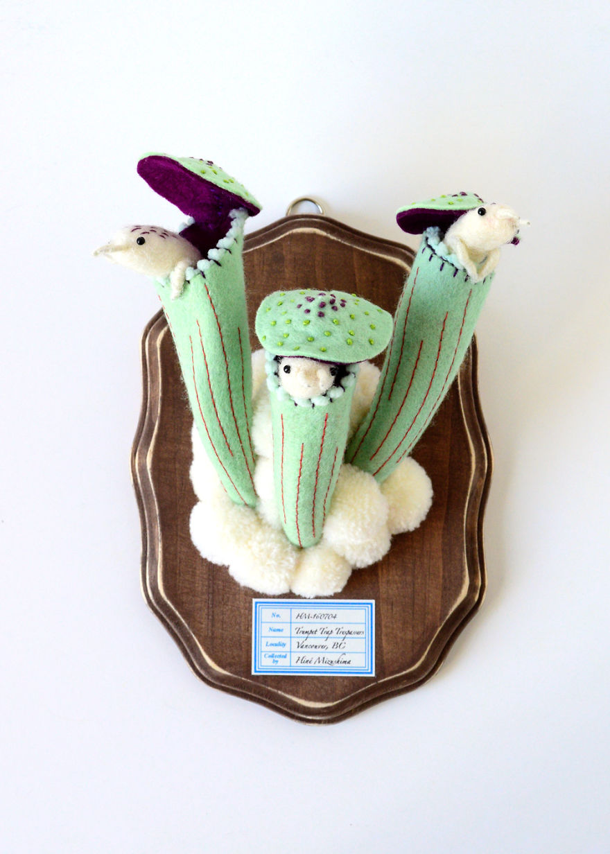 My Flora Insecta Series For Flora At Land Exhibition My Flora Insecta Series For Flora At Land Exhibition