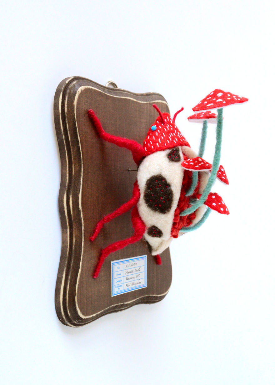 My Flora Insecta Series For Flora At Land Exhibition My Flora Insecta Series For Flora At Land Exhibition