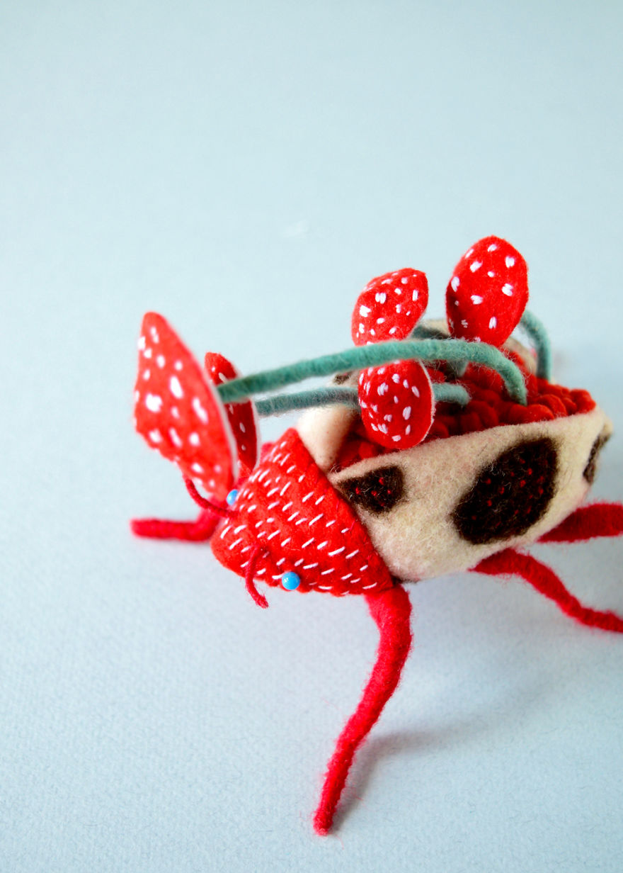 My Flora Insecta Series For Flora At Land Exhibition My Flora Insecta Series For Flora At Land Exhibition