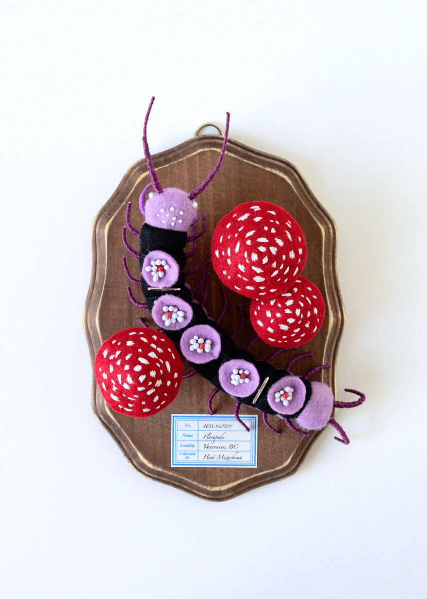 My Flora Insecta Series For Flora At Land Exhibition My Flora Insecta Series For Flora At Land Exhibition