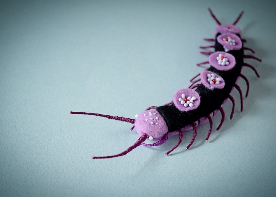 My Flora Insecta Series For Flora At Land Exhibition My Flora Insecta Series For Flora At Land Exhibition