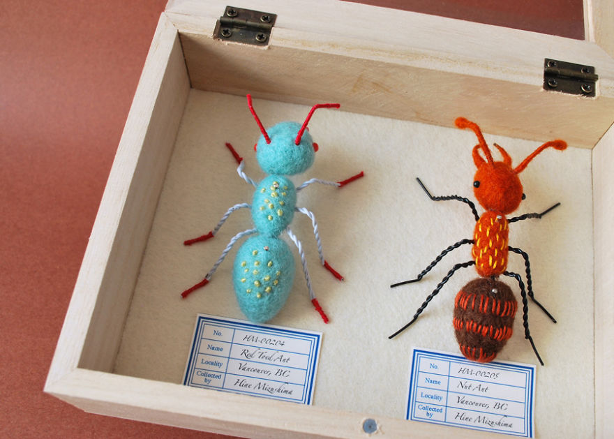 My Flora Insecta Series For Flora At Land Exhibition My Flora Insecta Series For Flora At Land Exhibition