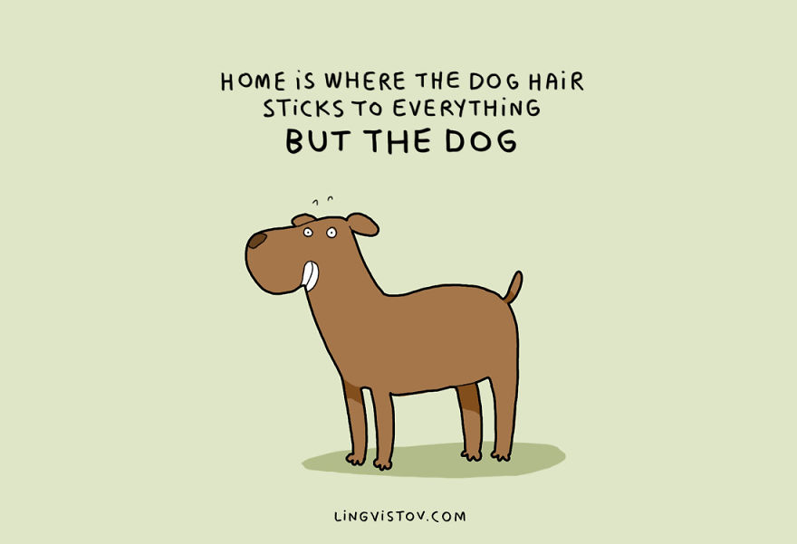 10 Illustrations Every Dog Owner Will Understand 10 Illustrations Every Dog Owner Will Understand