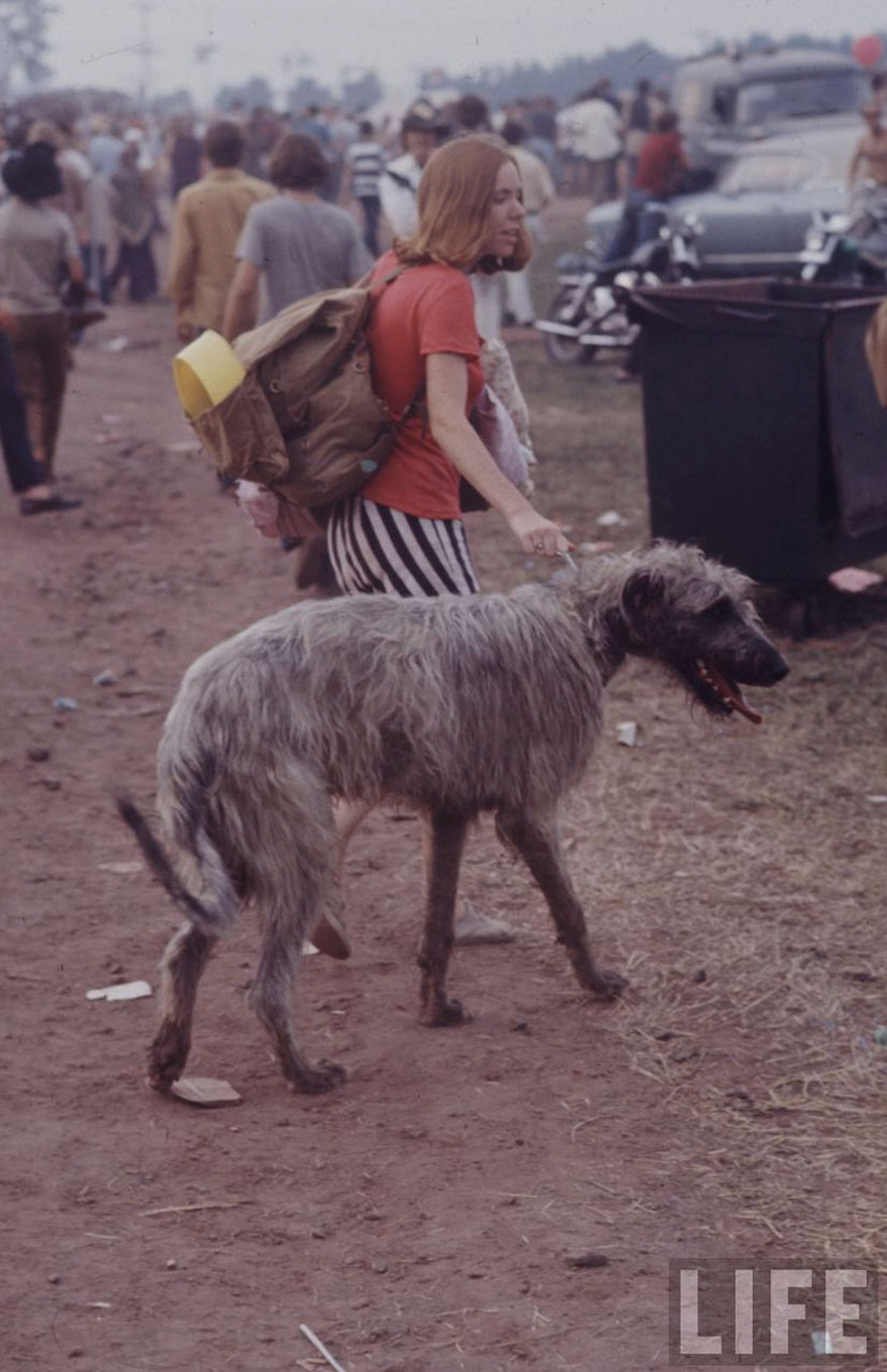 What It Was Really Like To Be At Woodstock Back In 1969 What It Was Really Like To Be At Woodstock Back In 1969