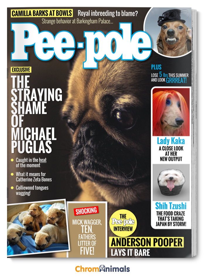 What Magazines Would Look Like If Dogs Ruled The World What Magazines Would Look Like If Dogs Ruled The World