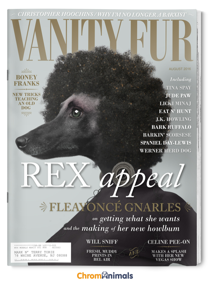 What Magazines Would Look Like If Dogs Ruled The World What Magazines Would Look Like If Dogs Ruled The World