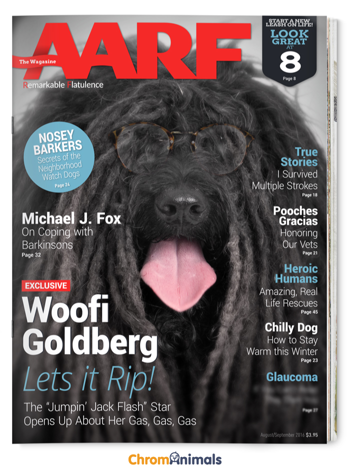 What Magazines Would Look Like If Dogs Ruled The World What Magazines Would Look Like If Dogs Ruled The World
