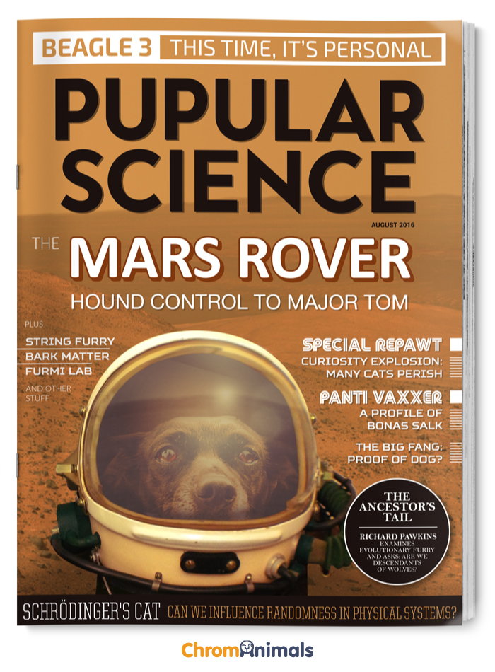 What Magazines Would Look Like If Dogs Ruled The World What Magazines Would Look Like If Dogs Ruled The World