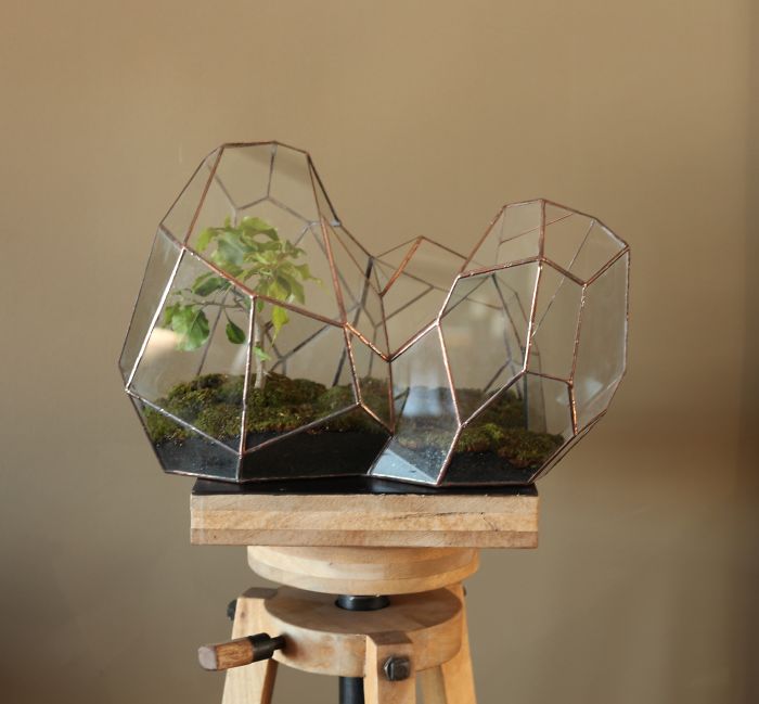 I Reimagined The Terrarium I Reimagined The Terrarium