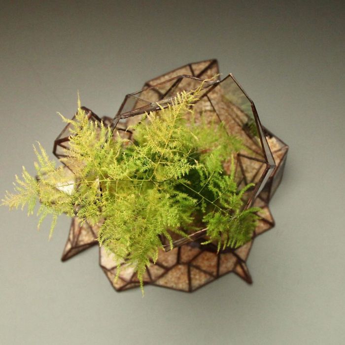 I Reimagined The Terrarium I Reimagined The Terrarium