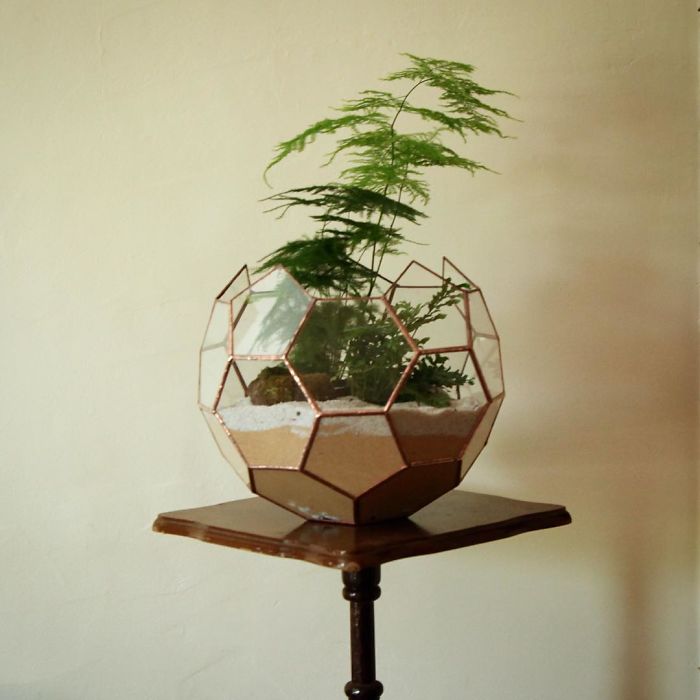 I Reimagined The Terrarium I Reimagined The Terrarium
