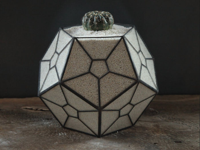 I Reimagined The Terrarium I Reimagined The Terrarium