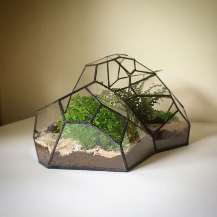 I Reimagined The Terrarium I Reimagined The Terrarium