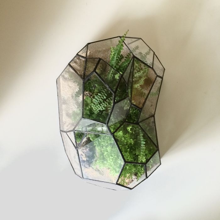I Reimagined The Terrarium I Reimagined The Terrarium